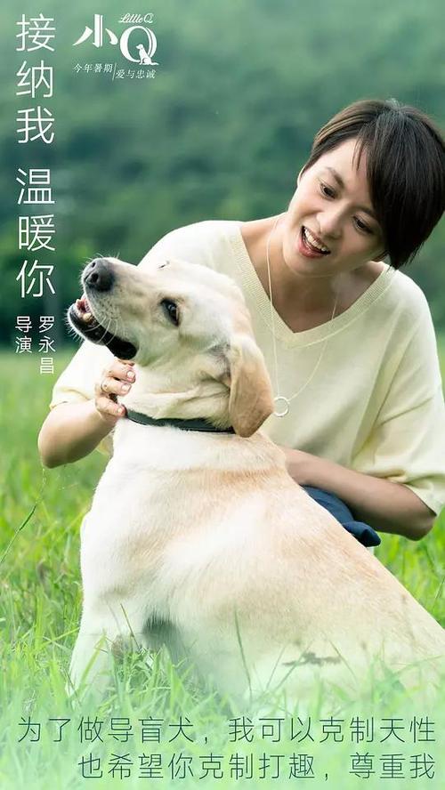郑州大学学位证补办